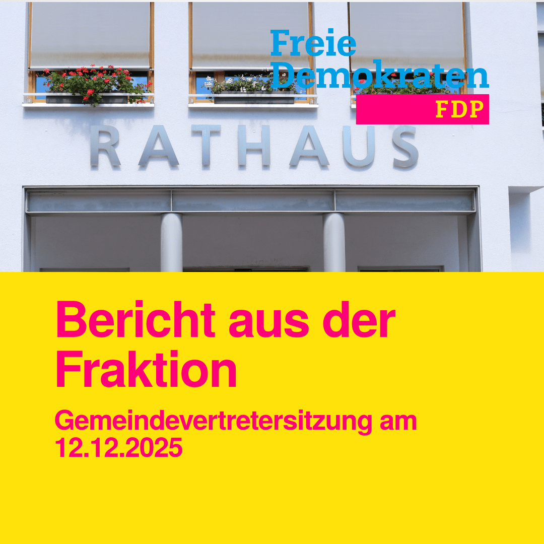 FDP Fraktion Diemelsee
