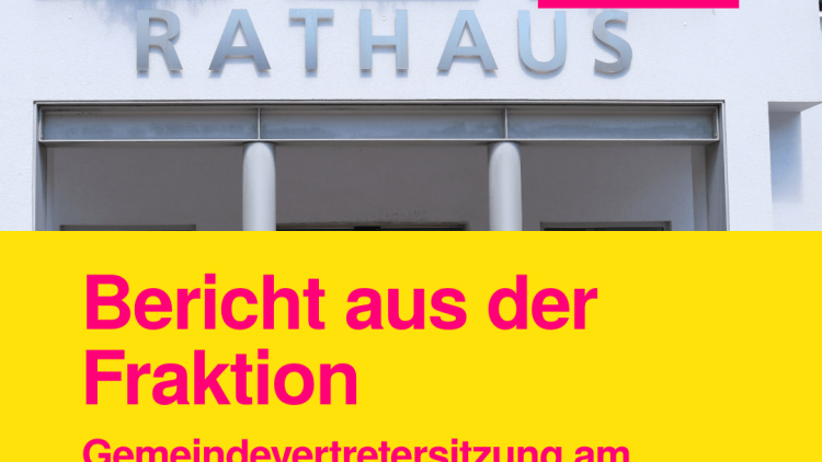 FDP Fraktion Diemelsee