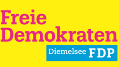 Freie Demokraten Diemelsee